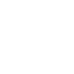 Reconnect.66